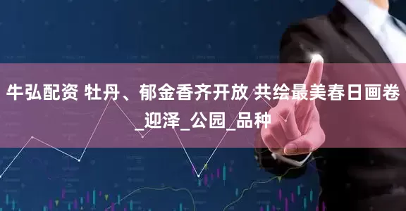 牛弘配资 牡丹、郁金香齐开放 共绘最美春日画卷_迎泽_公园_品种