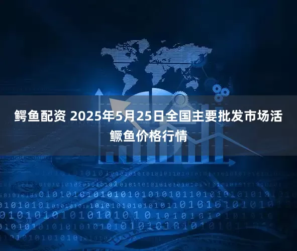 鳄鱼配资 2025年5月25日全国主要批发市场活鳜鱼价格行情