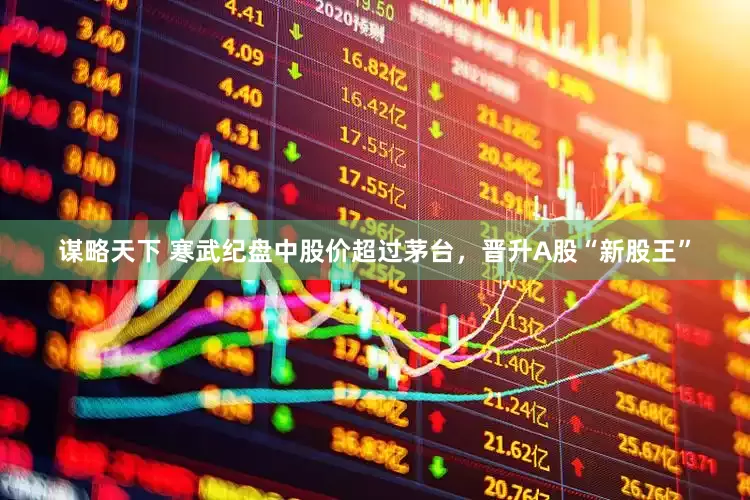 谋略天下 寒武纪盘中股价超过茅台，晋升A股“新股王”