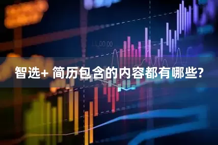 智选+ 简历包含的内容都有哪些?